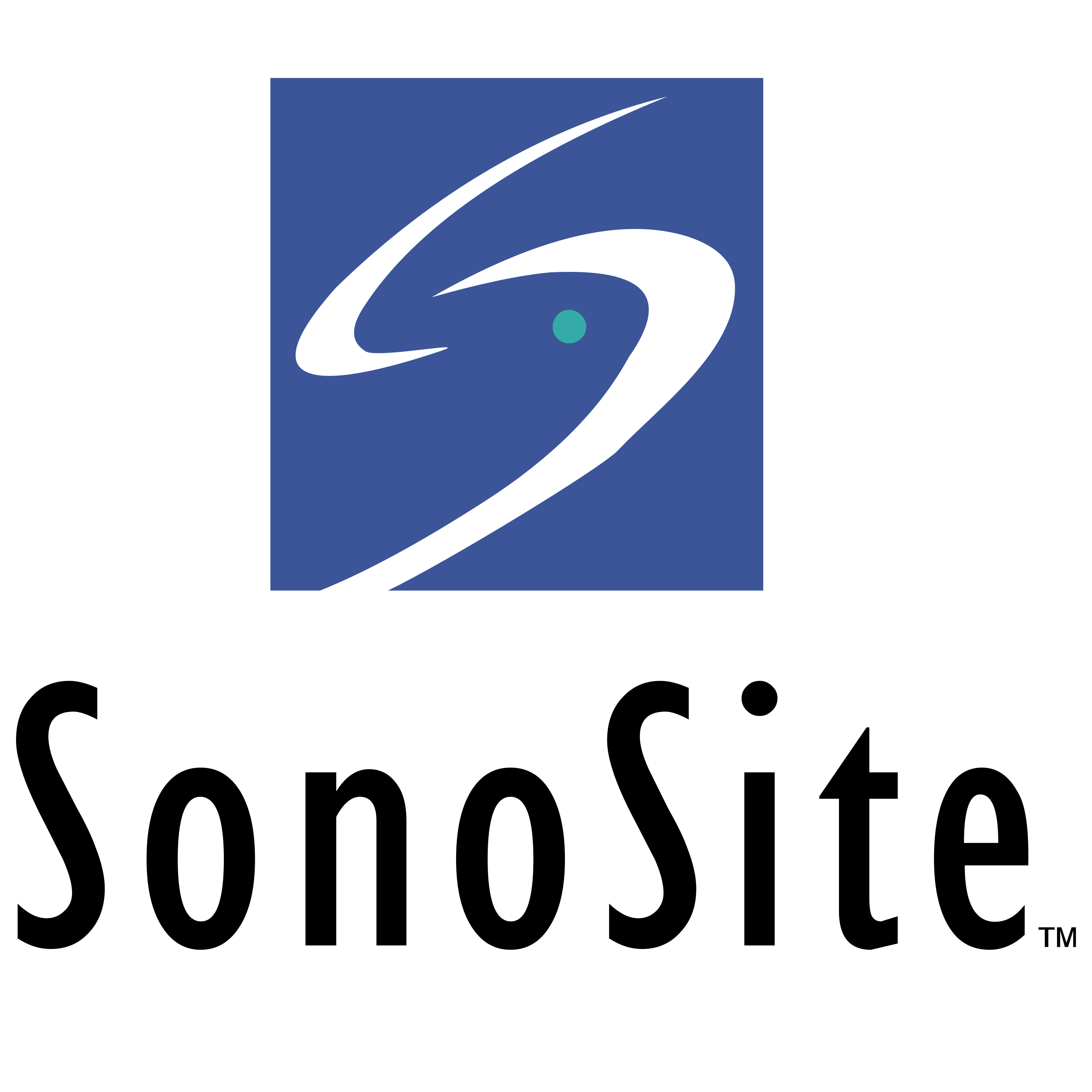 Partner 6